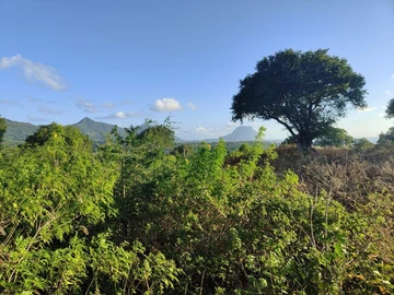 Terrain
