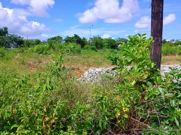 Residential Land