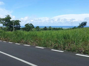 Agricultural Land