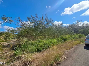 Residential Land