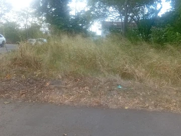 Commercial Land