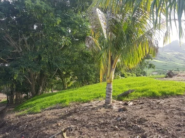 <br/>Desirable Large Block of Land with Superb Mountain and Sea Views! Superb Luxury, Surprisingly Affordable!