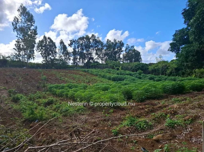 Land of 4965.12 m² 2.8 kms from main road.