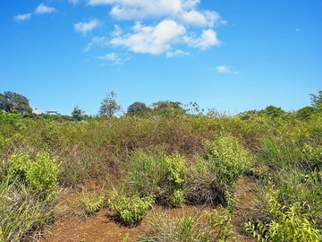 Terrain