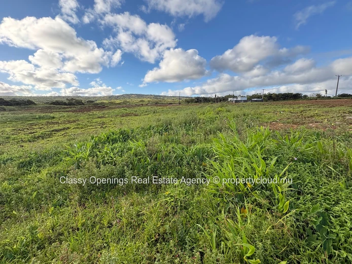 12,268 m² Cultivable Land with Mountain View & Greenhouses