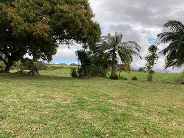 Olivia's Enchanting Land