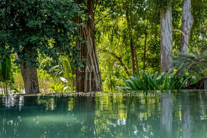 Luxueuse villa - Four Seasons Mauritius Anahita Golf