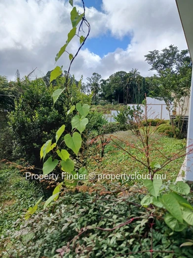 Curepipe House - A Cultural Sanctuary with Garden Views
