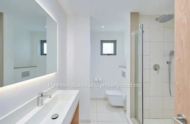 Exclusive penthouse close to Pereybère beach