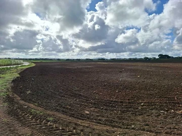 Commercial Land
