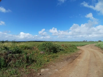 Terrain Agricole
