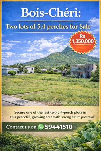 Bois cheri close to main road near tea factory
