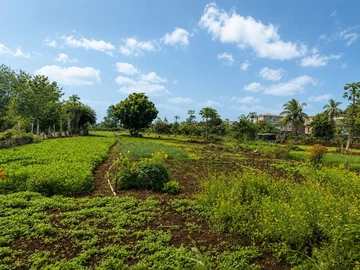 Residential Land