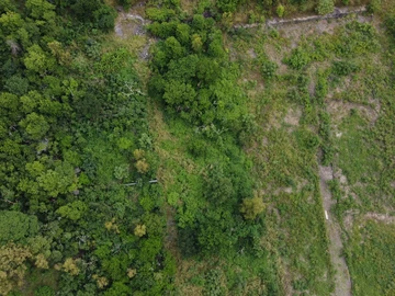 Terrain Résidentiel