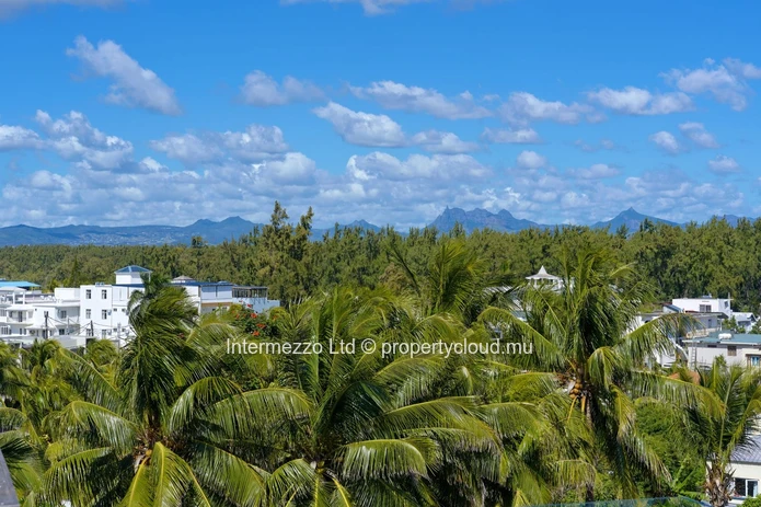 partment Private Rooftop Pool Pointe aux Canonniers | 650000 USD