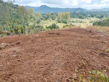 Agricultural Land