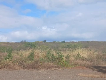 Residential Land