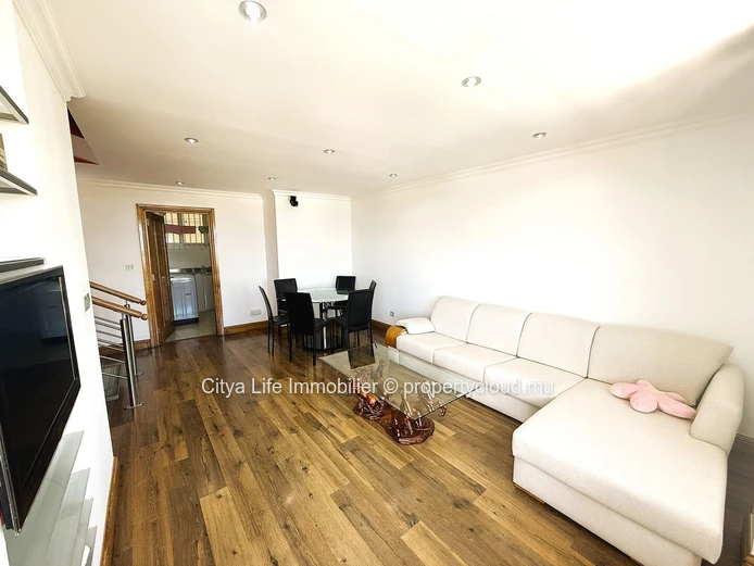 Ce spacieux et luxueux penthouse est désormais disponible à la vente !
