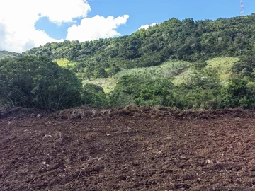 Terrain Agricole