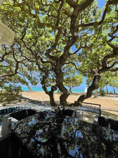 Beachfront Duplex for Sale in Palmar – Prime Investment Opportunity