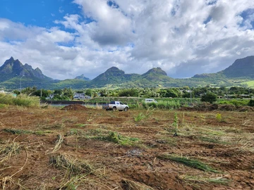 Agricultural Land