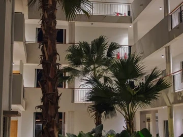Appartement de 2 Chambres