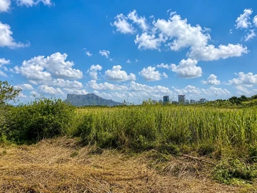 Agricultural Land