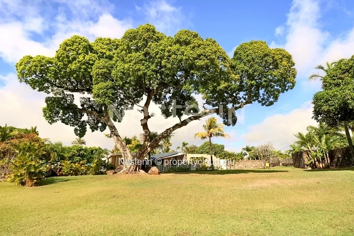 Villa d'exception de 4 chambres nichée au milieu d'un immense jardin