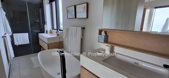 Penthouse for rent