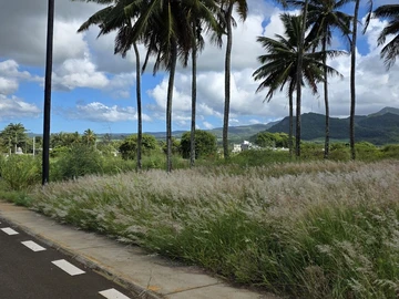 Residential Land