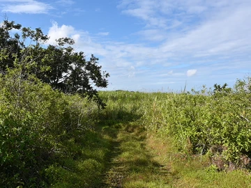 Terrain Agricole