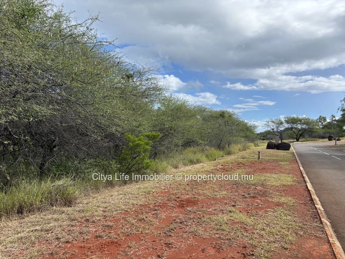 Terrain à vendre — Black River | Domaine de Palmyre | 2 124 m² | Rs