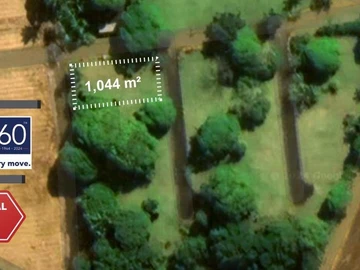 Olivia's Enchanting Land