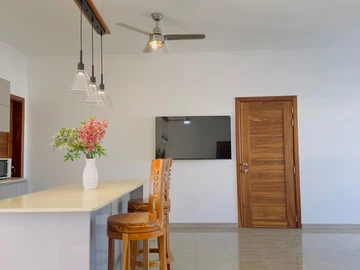 3 Bedroom Penthouse