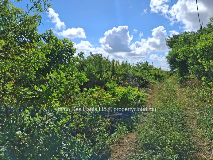 Residential Land for sale la Marie Vacoas 