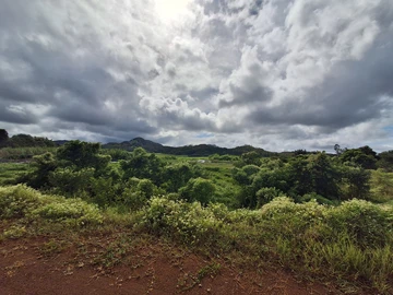 Agricultural Land