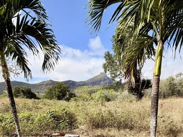 Residential Land
