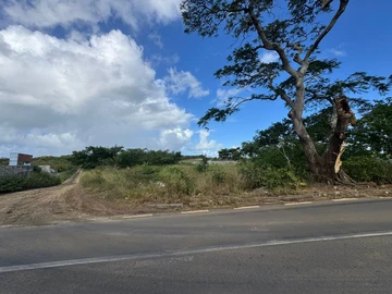 Terrain Commercial