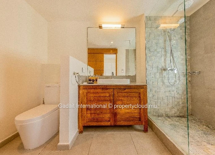 4 bedroom villa with bespoke services for sale in Rivière Noire