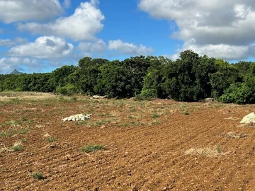 Terrain Agricole