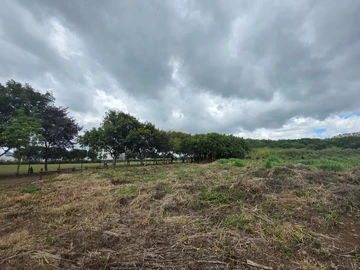 Terrain Agricole