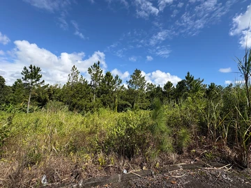 Residential Land