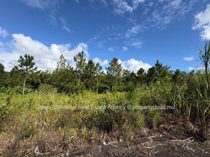 529 m² Hermitage Plot — Paved Road, Near Schools & Shops
