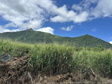 Agricultural Land