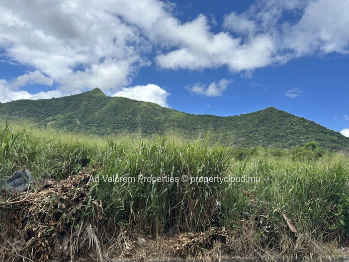 Exceptional 2.8 hectare agricultural land in La Gaulette with stunning mountain views