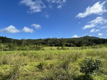 Residential Land