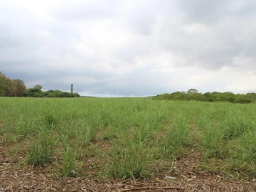 Agricultural Land