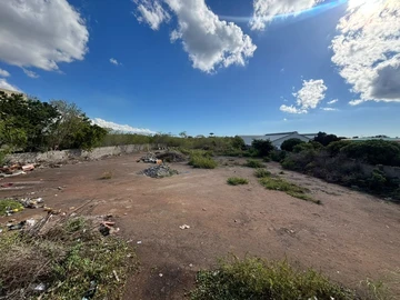 Commercial Land