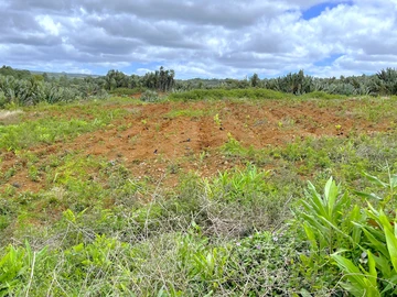 Agricultural Land