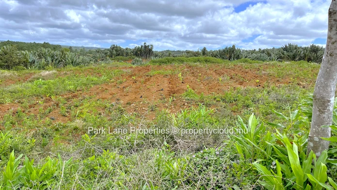 Land with wonderful nature view